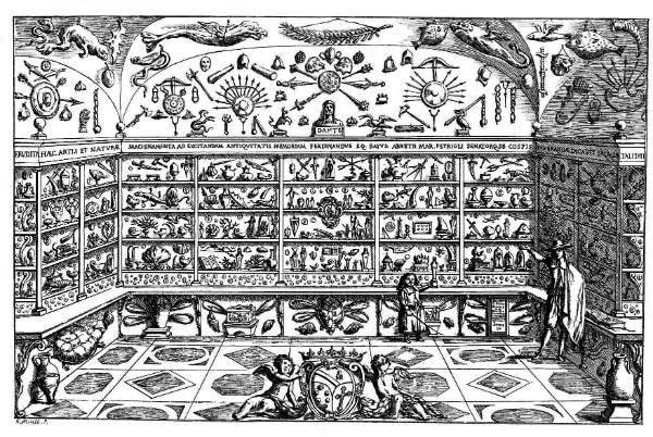 Wunderkammer: Il gesuita Athanasius Kircher (1601-1680), tedesco di nascita, ma attivo a Roma, creò una collezione, divenuta il Museo Kircher, tra le più ammirate del Seicento. Al 1678 risale il catalogo delle sue collezioni, da cui è tratta questa immagine