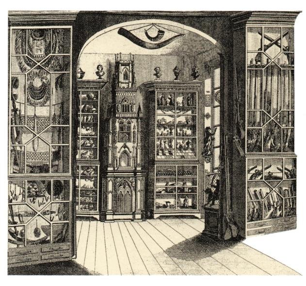 Wunderkammer. L'epoca d'oro.