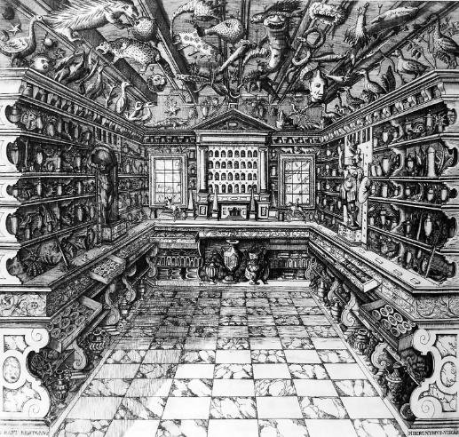 Wunderkammer. L'epoca d'oro.