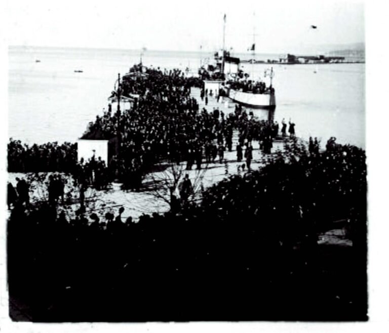 La fotografia è la n.541, dal titolo: “Il giorno 10: la folla di Trieste attende sul Molo di San Carlo S. M. il Re d’Italia”, del novembre 1918