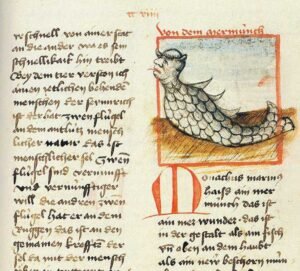 Gessner_UB_Heidelberg,_Cod._Pal._germ._300,_Fol._65