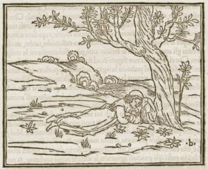 Maestro B: Hypnerotomachia Poliphili 1545