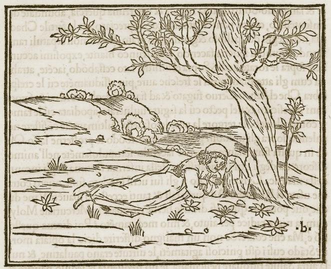 Maestro B: Hypnerotomachia Poliphili 1545