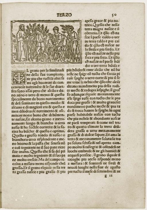 Maestro b: Pietro de’ Crescenzi, De Agricultura, c. 50r