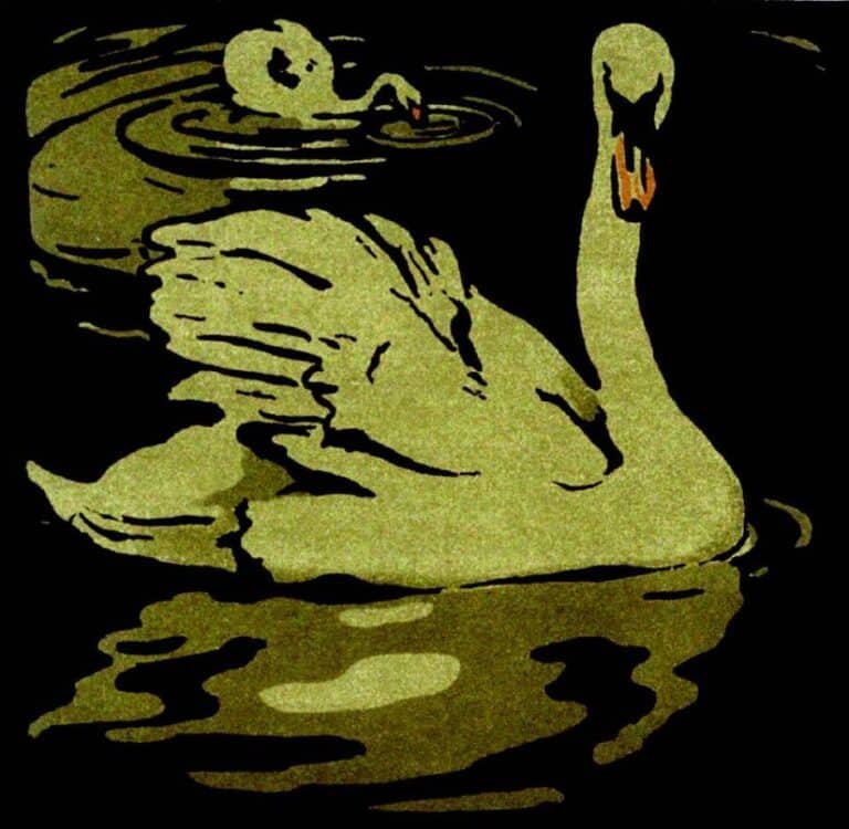 William Nicholson, The beautiful Swan, una delle più belle tavole del “Libro quadrato degli animali