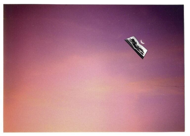 Eleonora Olivetti, Fotografia da Per un collezionista di libri antichi, Torino 1991